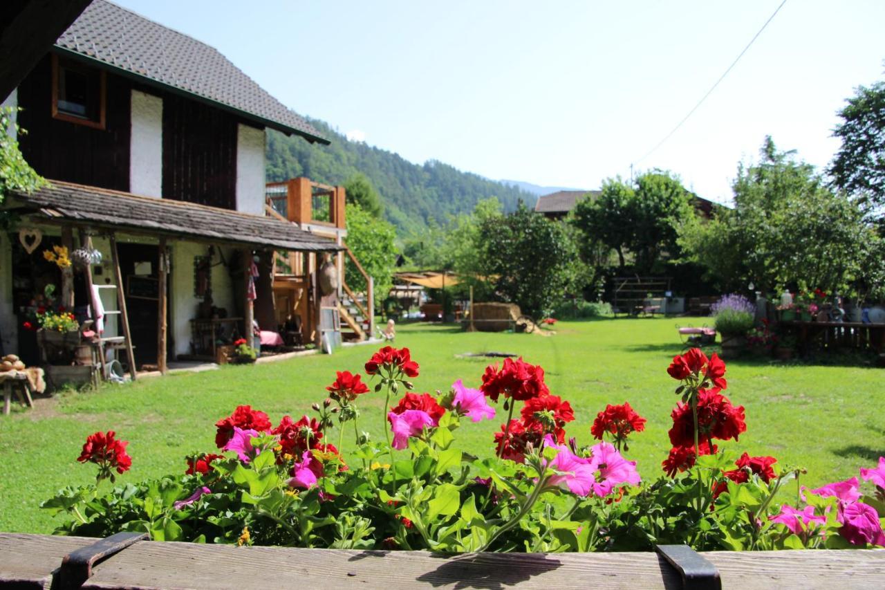 Sachserhof Ferienwohnungen In Sachsenburg Exterior foto