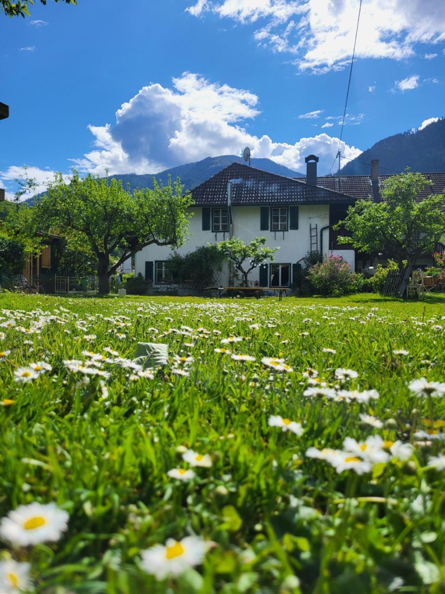Sachserhof Ferienwohnungen In Sachsenburg Exterior foto